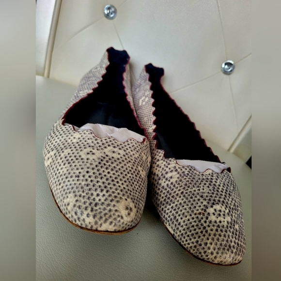 Chloe 100%Auth WomenScalloped Snakeskin Ballet Flats Genuine Leather Gray US 8.5 - Picture 7 of 16